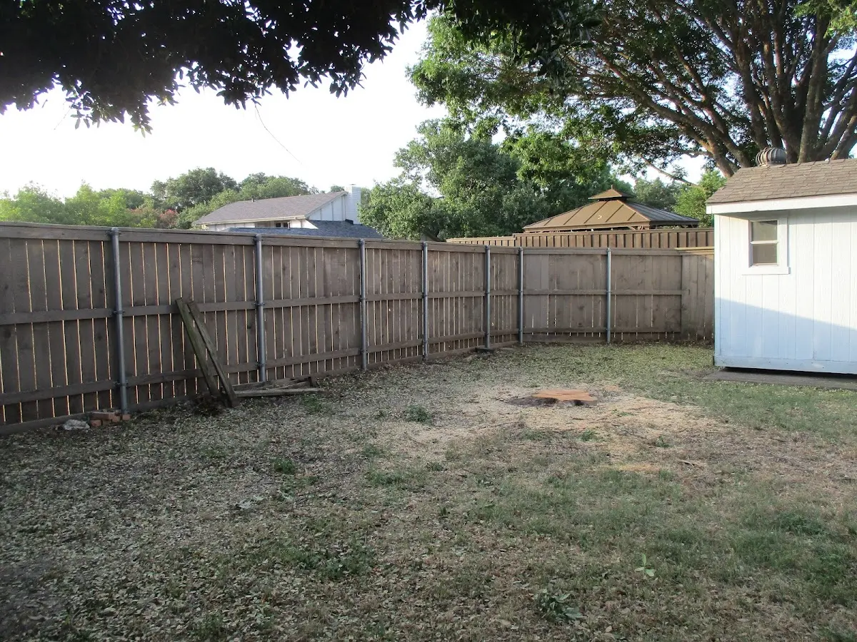 Cleared yard after professional tree removal in Fields